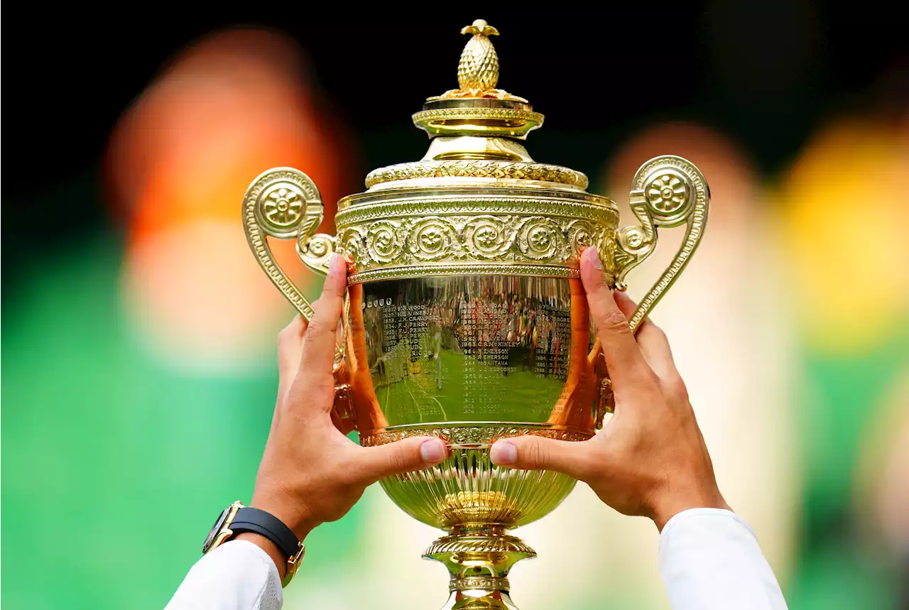 Fans are just realising why there is a pineapple on top of Wimbledon trophy