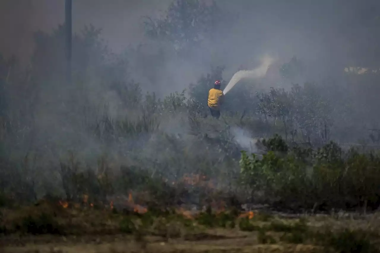 Military begins B.C. wildfire deployment, meeting set for Monday