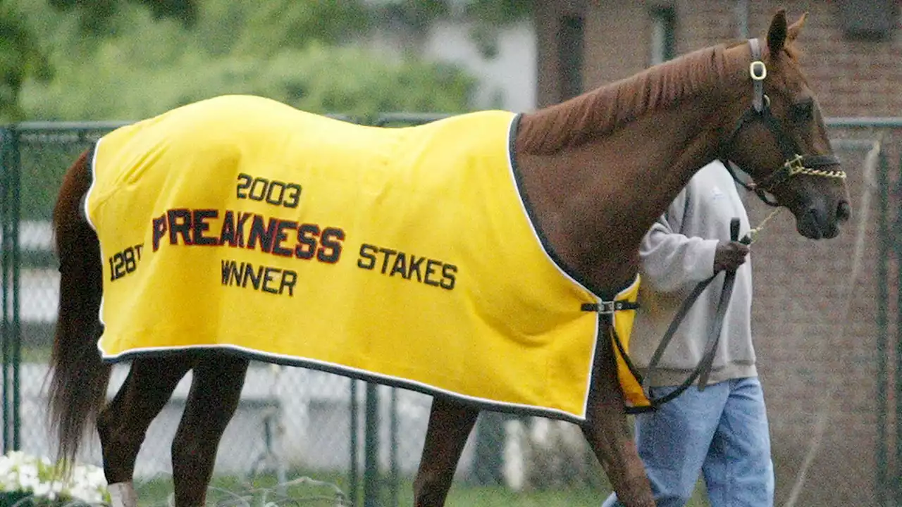 Funny Cide, Kentucky Derby-Winning Horse, Dead At 23