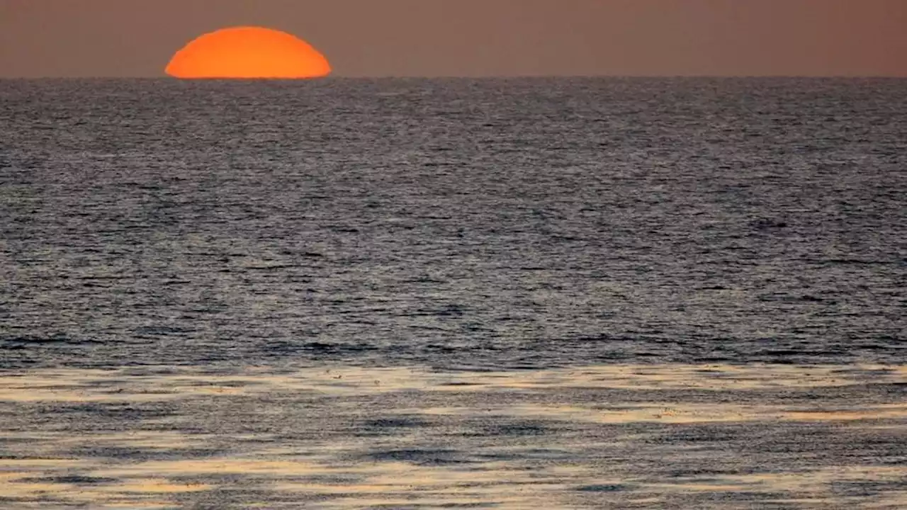 Australian sailor, dog rescued after Cast Away-like ordeal at sea