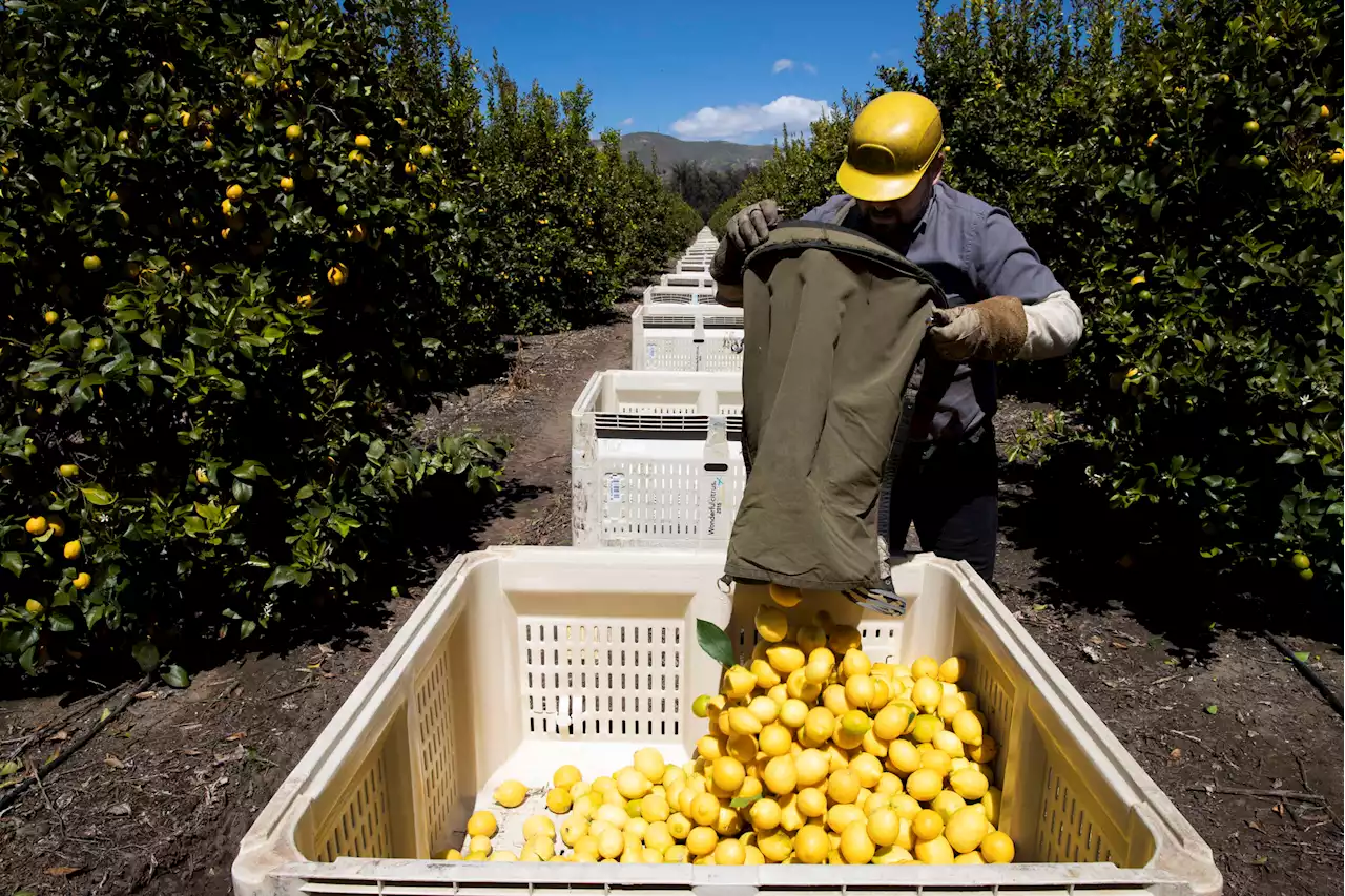 The Farm Bill Is an Opportunity to Address Climate Change and Structural Racism