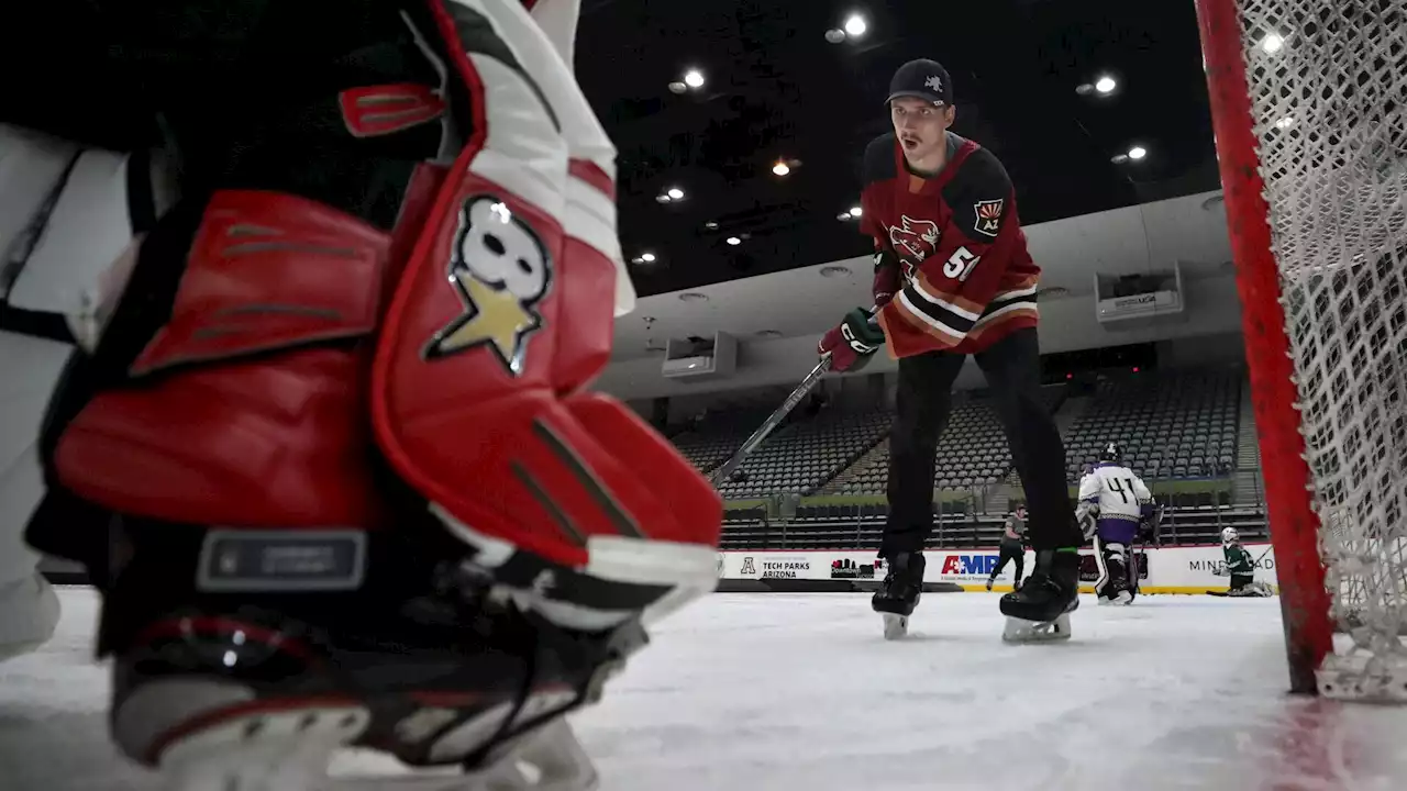 Longtime AHL Roadrunners goalie Ivan Prosvetov extended by NHL's Coyotes for another year