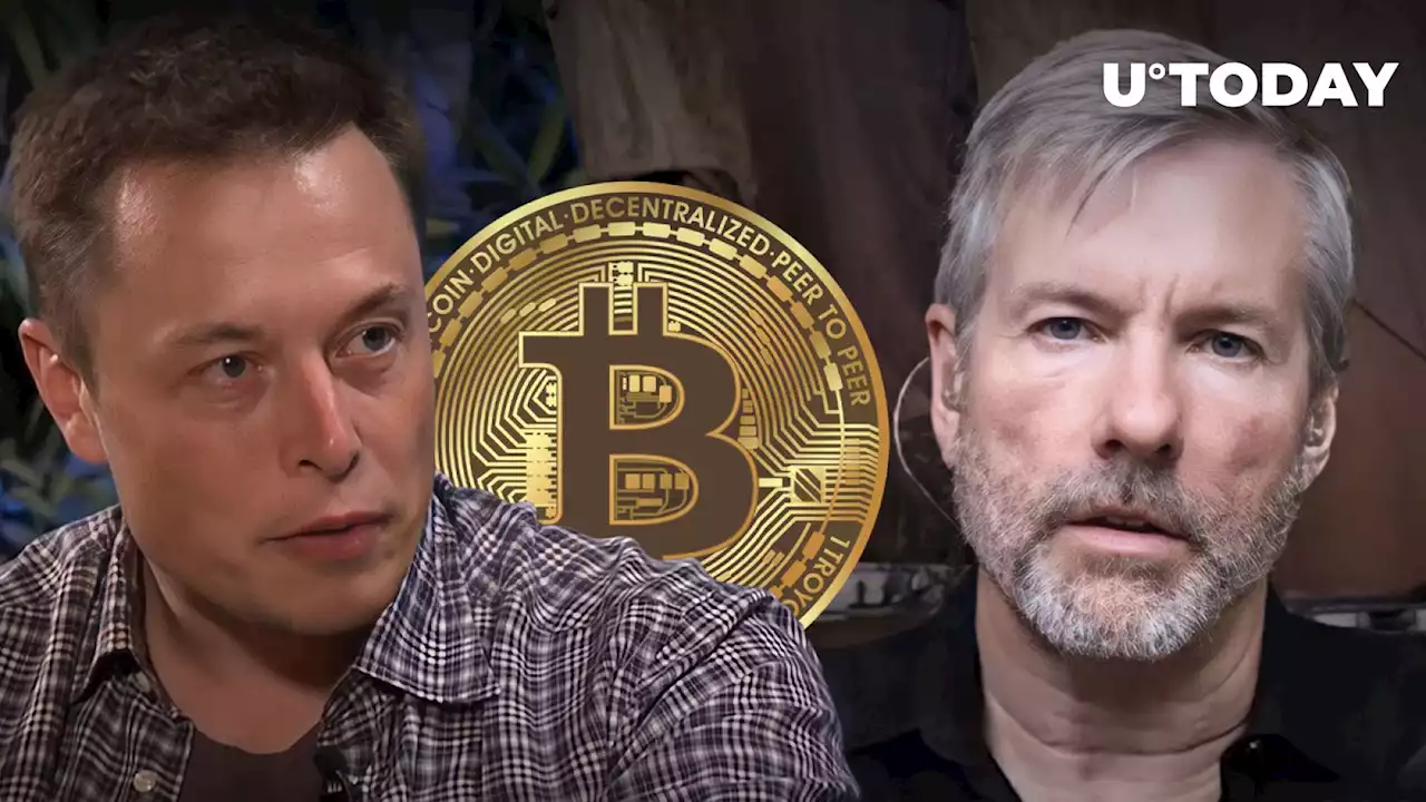 Elon Musk's New Tweet Gets Unexpected 'Bitcoin Response' From Michael Saylor: Details