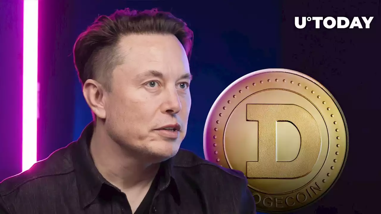 Elon Musk's New Tweet Triggers Explosive Dogecoin (DOGE) Pump