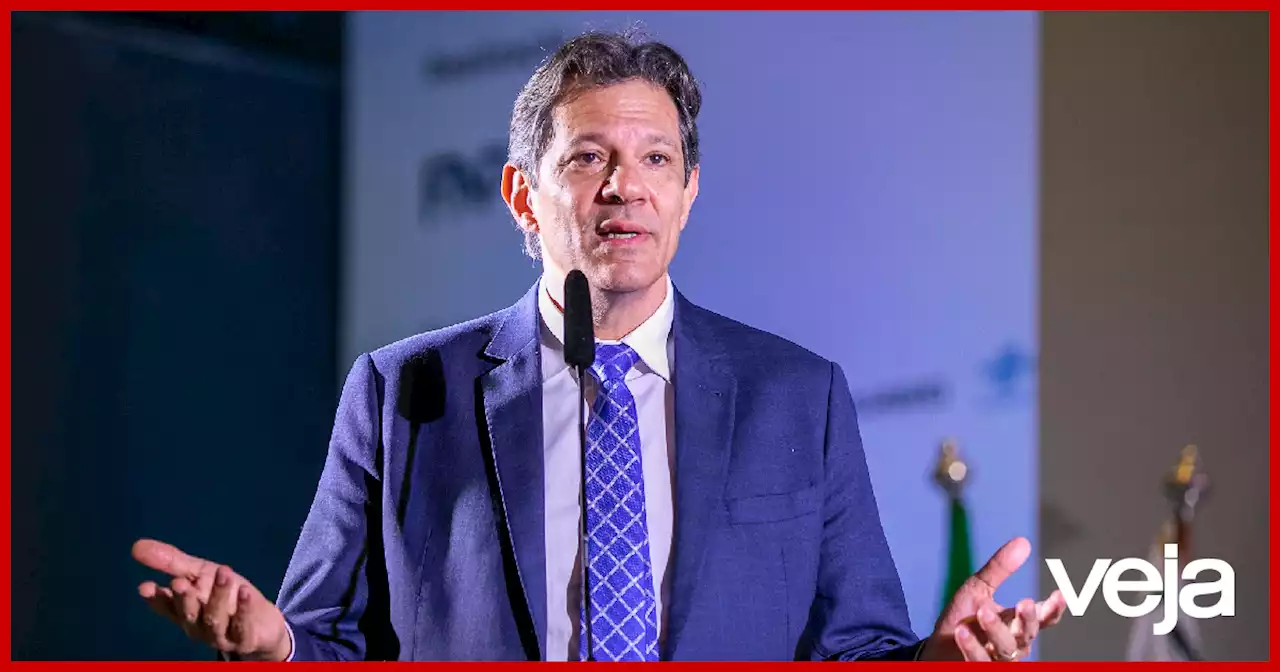 Haddad, o sinal e os ruídos | Thomas Traumann