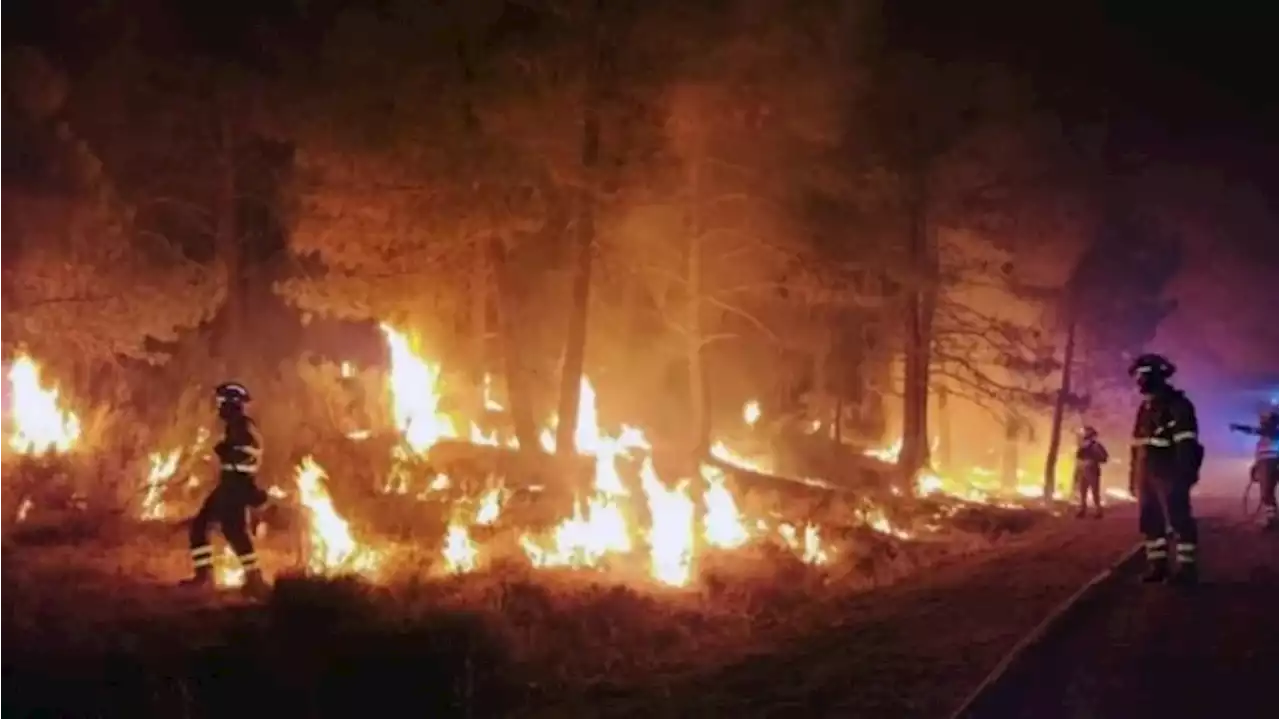 Kebakaran Hutan Landa Spanyol, Ribuan Warga Pulau La Palma Dievakuasi