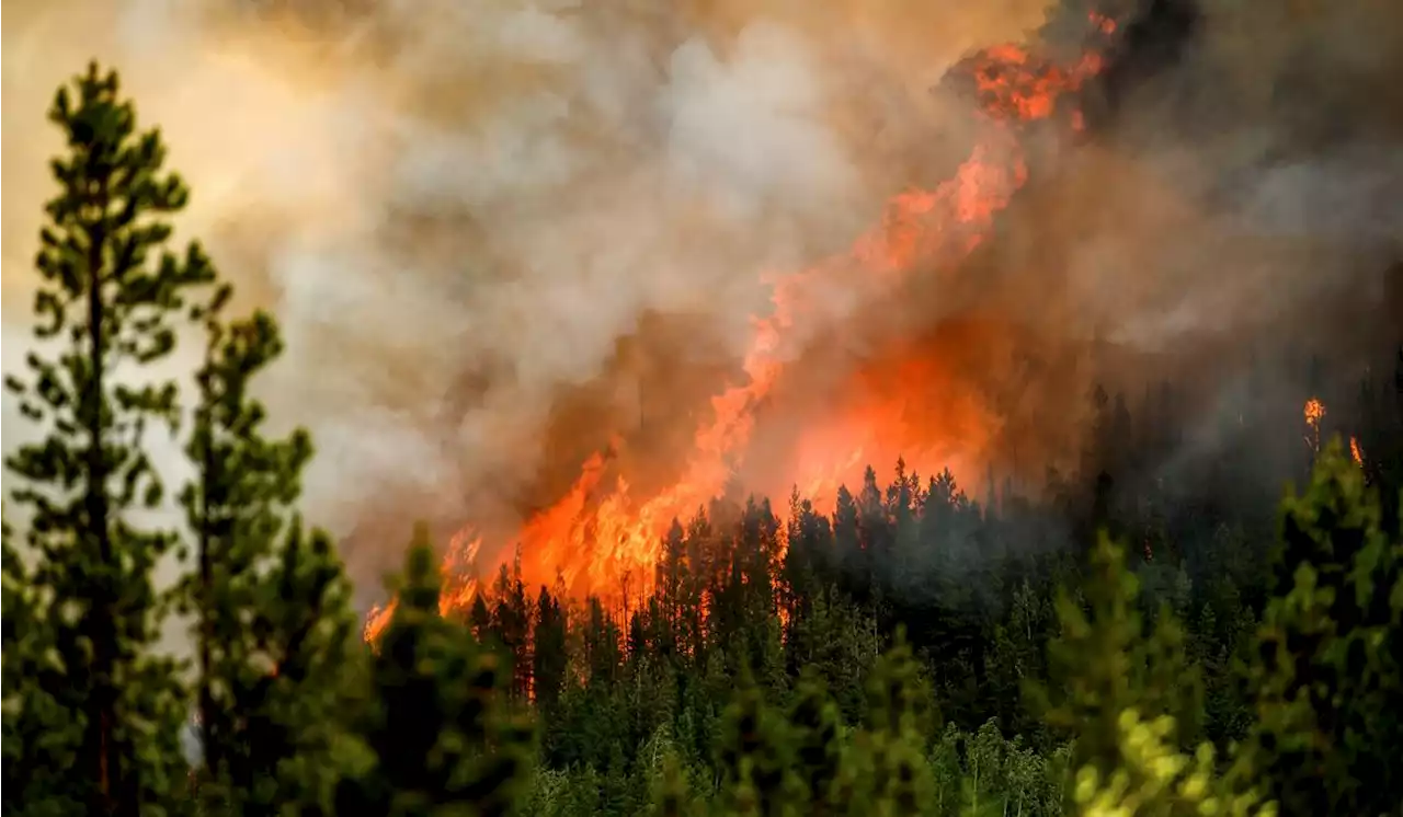 Smoke from Canadian wildfires creates unhealthy conditions from Montana to Ohio