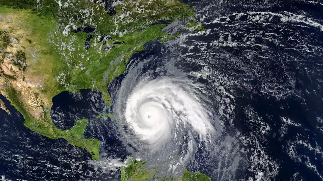 Small tornado hits northwestern Puerto Rico, downing trees and power lines