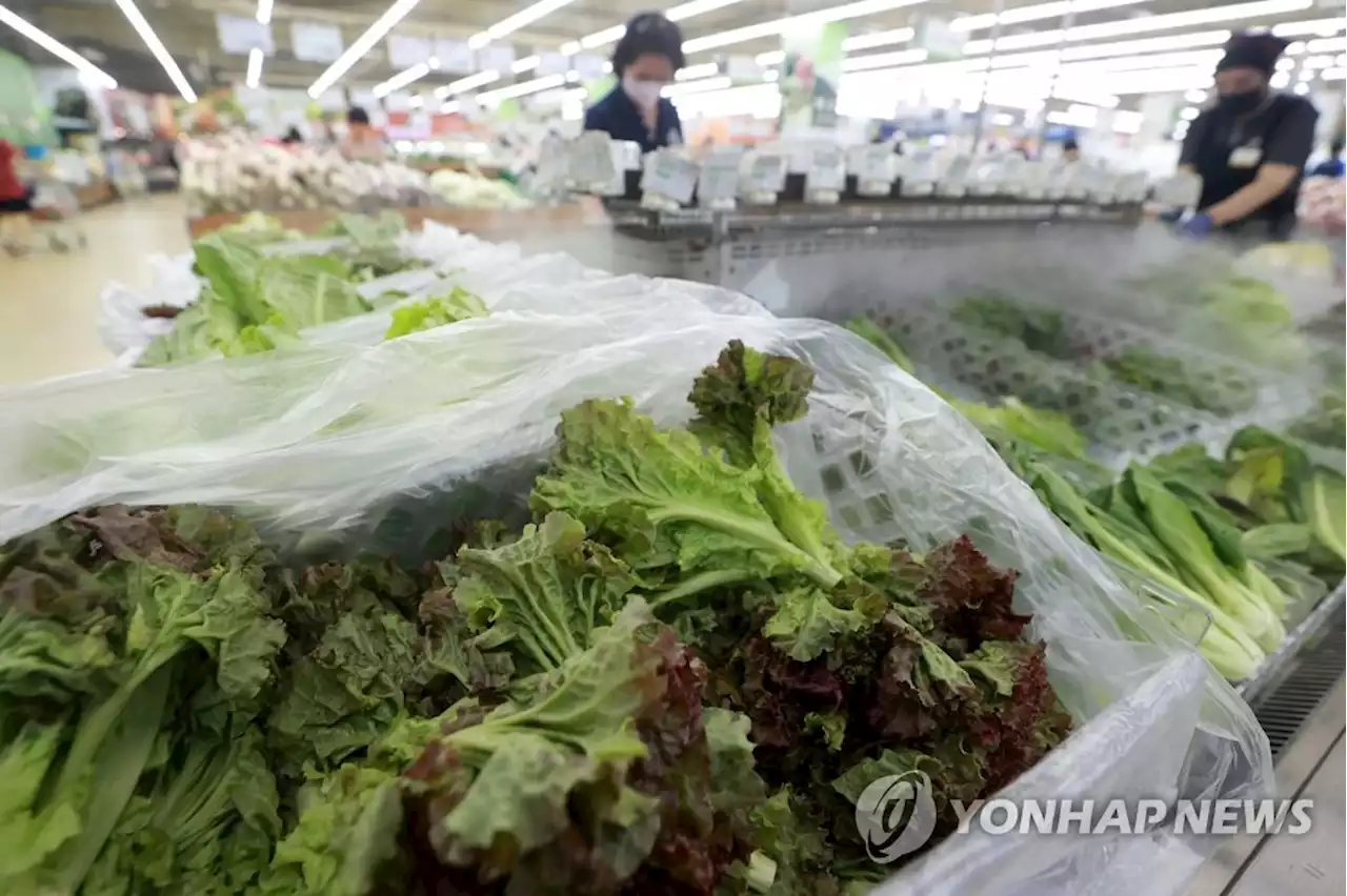 폭우에 농작물 침수·낙과 피해…밥상물가 '비상'(종합) | 연합뉴스