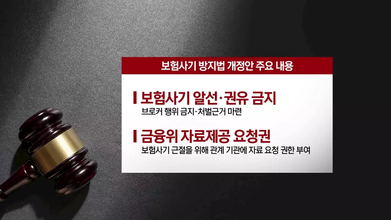 '제2의 이은해 막자'...보험사기 방지법 개정안 초읽기