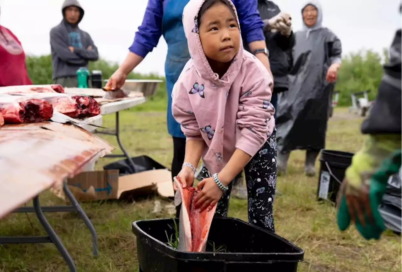 Yupiit School District aligns itself with traditional knowledge during its first year on a subsistence calendar