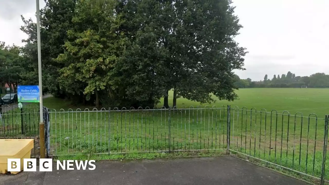 Leicester: Seven men bailed over park fight with cricket bats