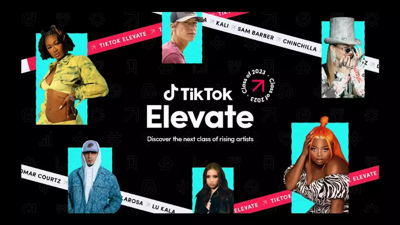 TikTok Launches Emerging Artist Program Elevate