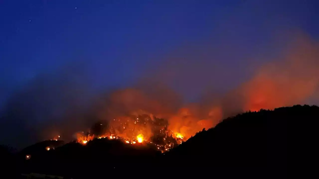 Waldbrand im Oberwallis noch nicht unter Kontrolle