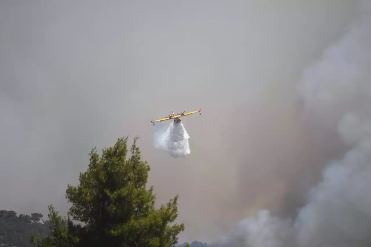 Griechenland: Waldbrände rücken an Athen heran