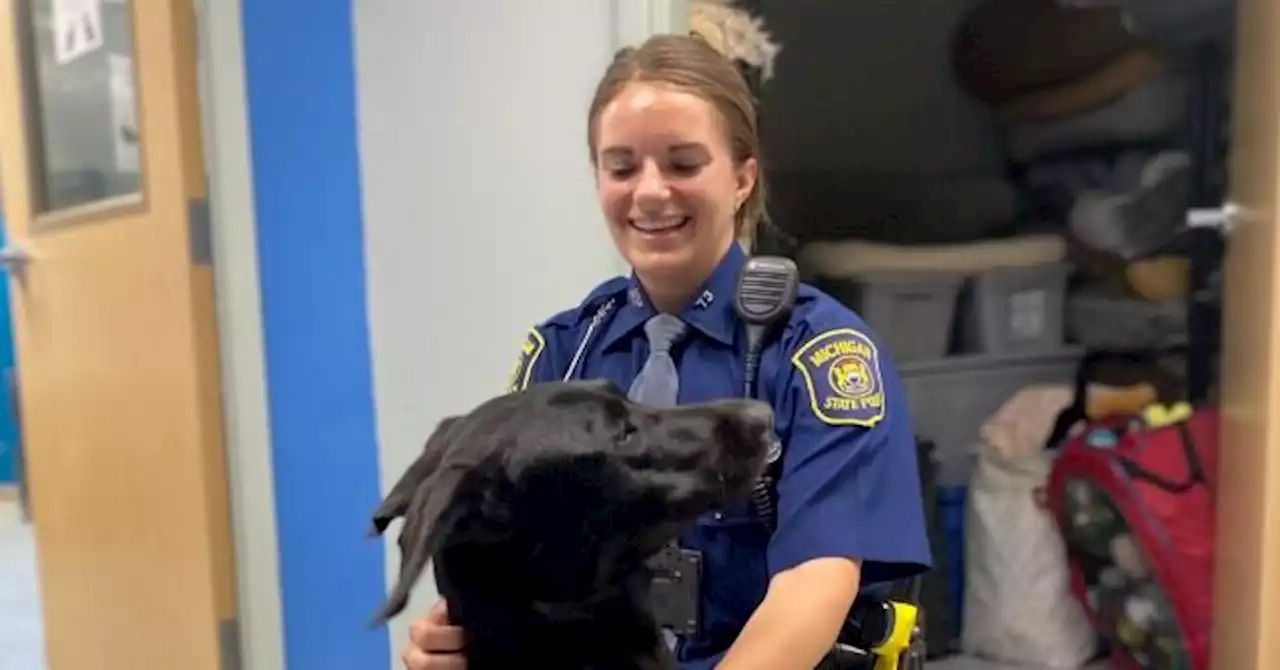 PHOTOS — 'Perfect Match': MI Trooper Gives Abandoned Dog a Home