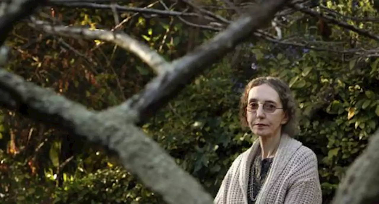 La bambina perfetta di Joyce Carol Oates