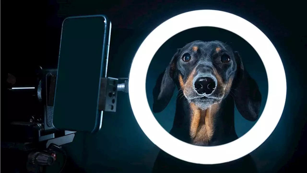 The best ring lights for Zoom, YouTube and streaming in 2023