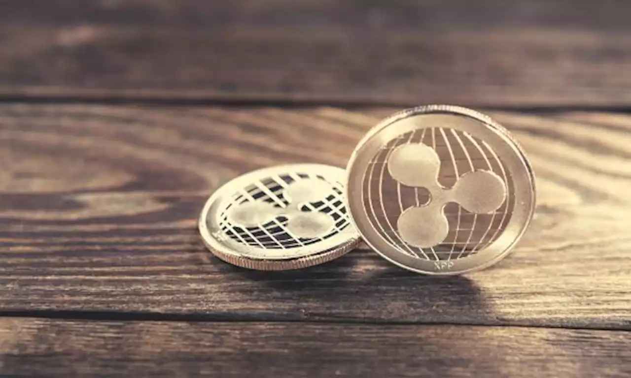 Has Ripple (XRP) Won or Will the SEC Appeal: What's Next?