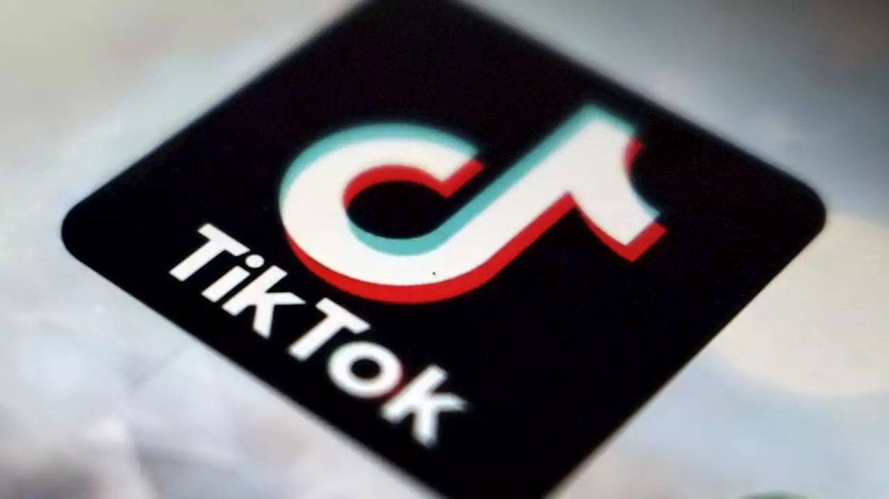 TikTok needs to do more to comply with Europe's new digital rules, official says