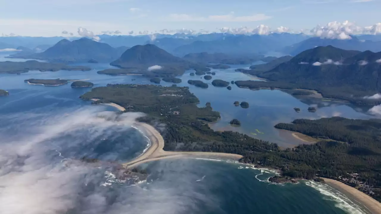 Wildfire closure of Highway 4 cost Tofino, Ucluelet $44M in lost tourism revenue: chamber