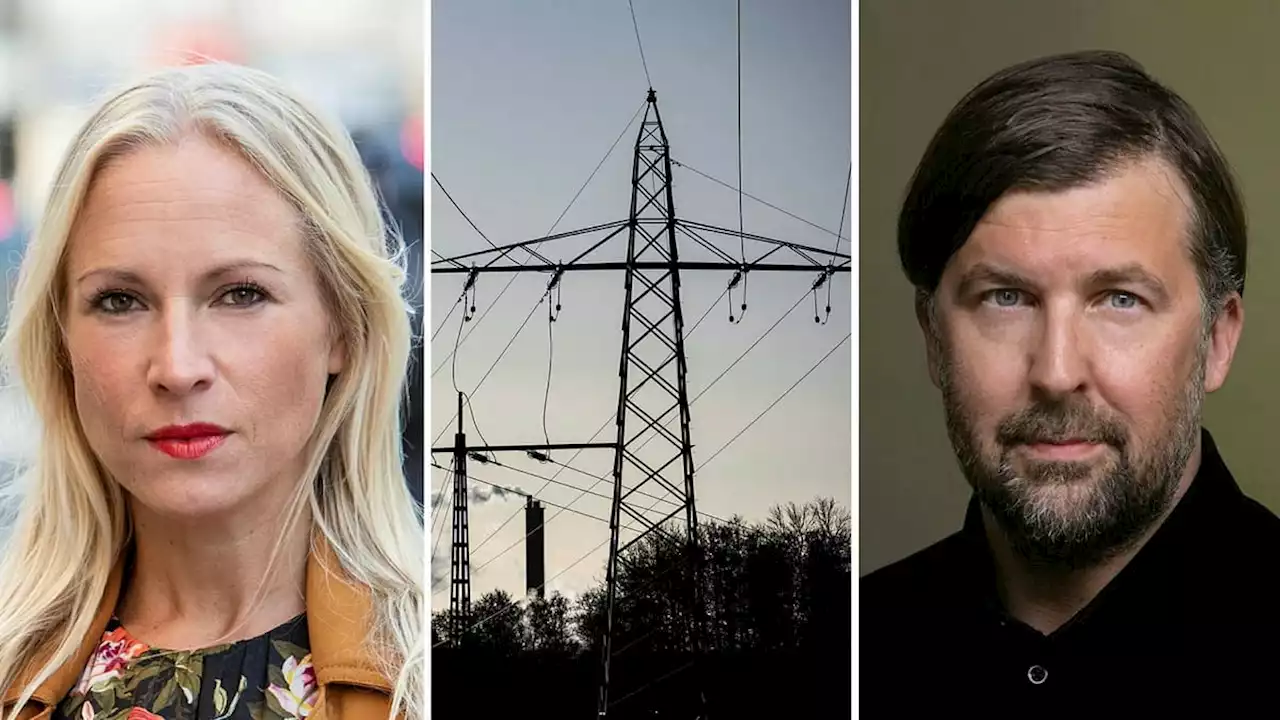 Varnar för bluffbolag i elbranschen: ”Blir helt tokig”