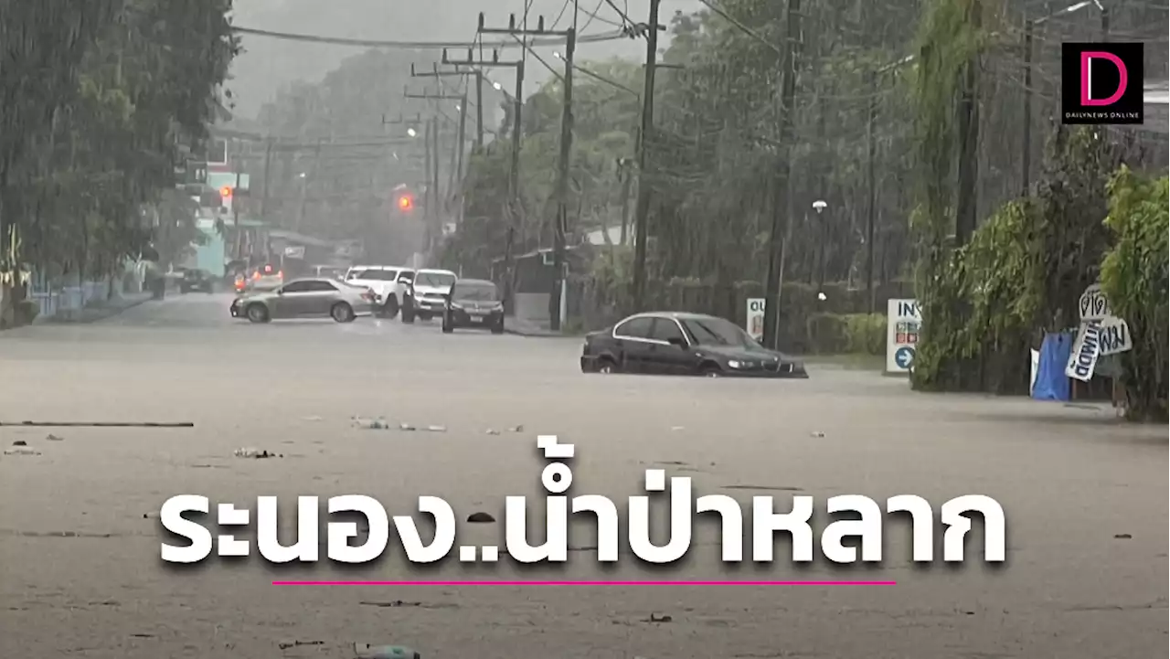 มรสุมเข้า! 'ระนอง' อ่วมหนักฝนถล่ม 24 ชม. น้ำป่าทะลักเข้าท่วมชุมชน-ถนน | เดลินิวส์