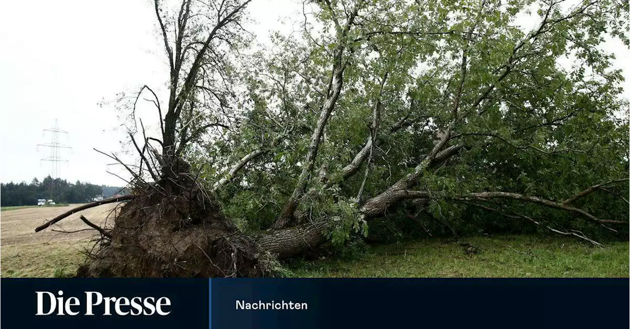 Abend bringt erneut Unwetter in Österreich, Warnung für Vorarlberg