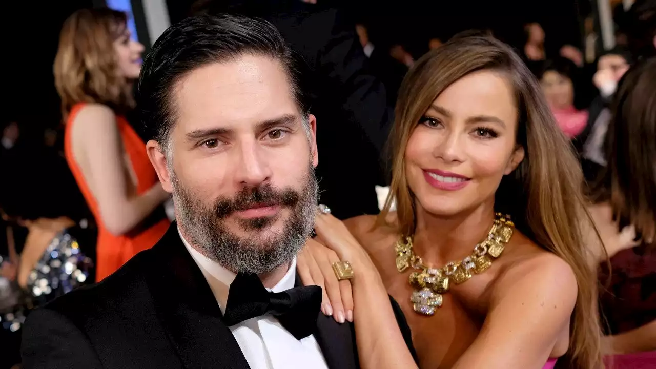 Sofia Vergara and Joe Manganiello Divorcing: What Led to Their Split