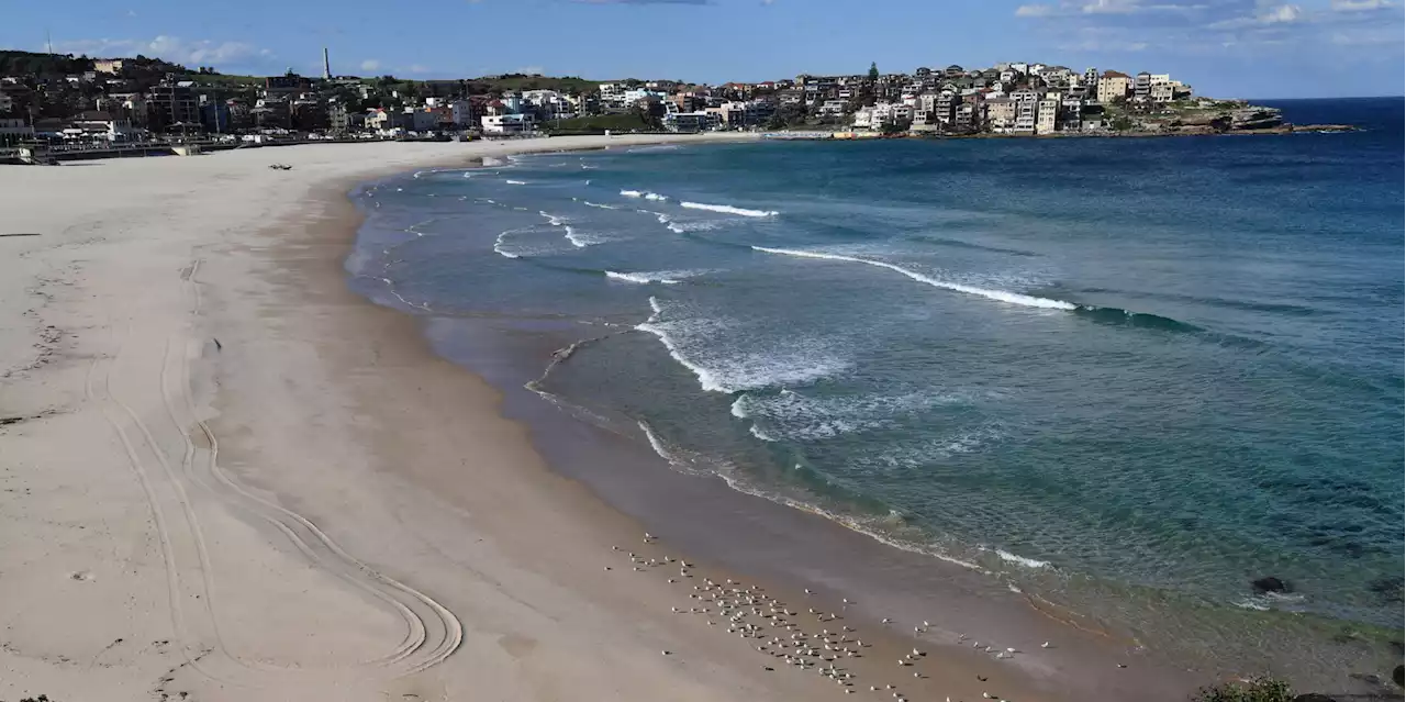 Australie : un mystérieux objet cylindrique découvert sur une plage à l'ouest du pays