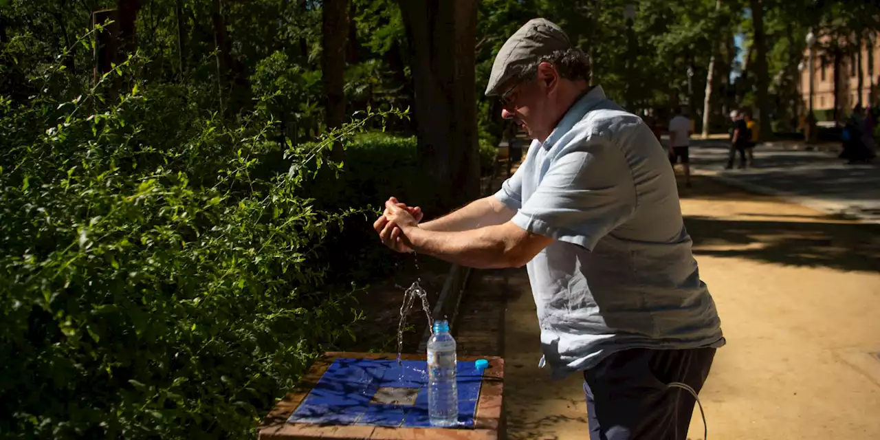 «C'est horrible» : l'Espagne en alerte rouge pour une vague de chaleur «extrême»