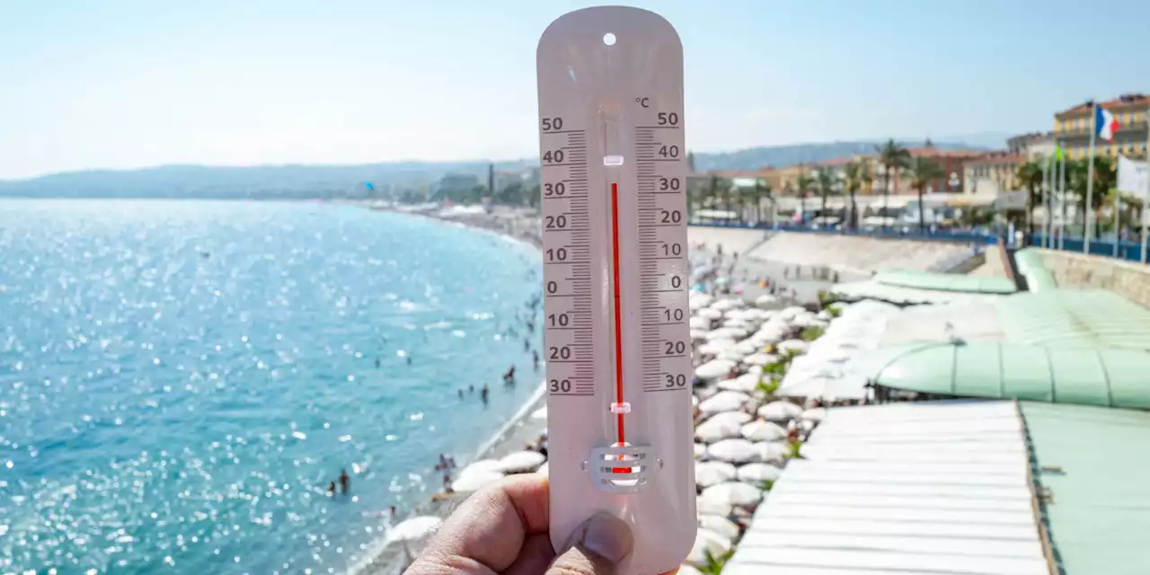 Canicule : de nombreux records de chaleur ont été battus ce mardi, indique Météo France