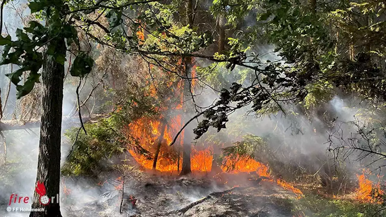 Nö: Bahndammbrand bei Hoheneich entwickelte sich zu Waldbrand → schnelles Handeln der Feuerwehren wirkte