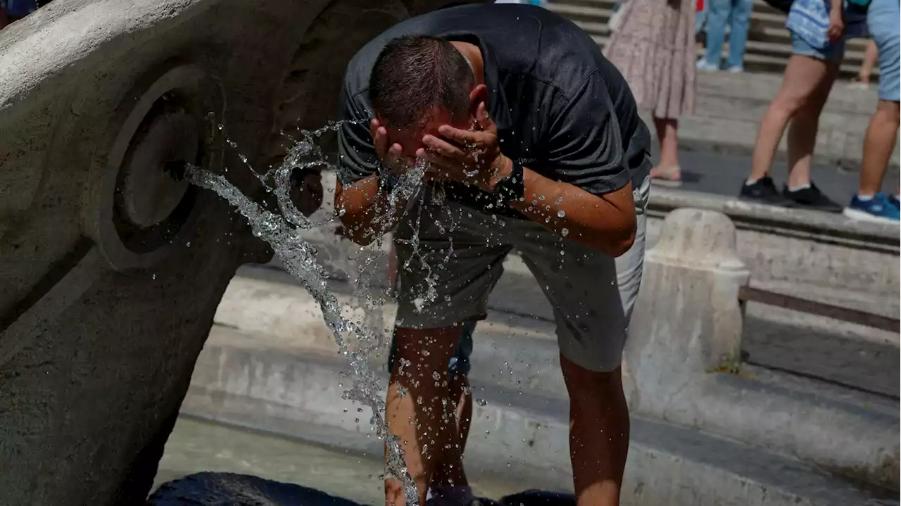 DIRECT. Canicule : les 40°C franchis dans la station de Serralongue, un record dans le Vallespir