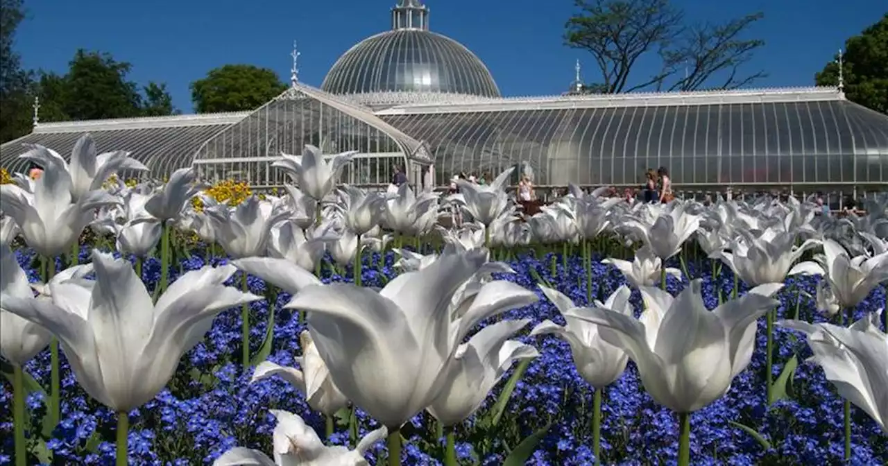 Four Glasgow parks named among 'most beautiful' in Scotland at top awards