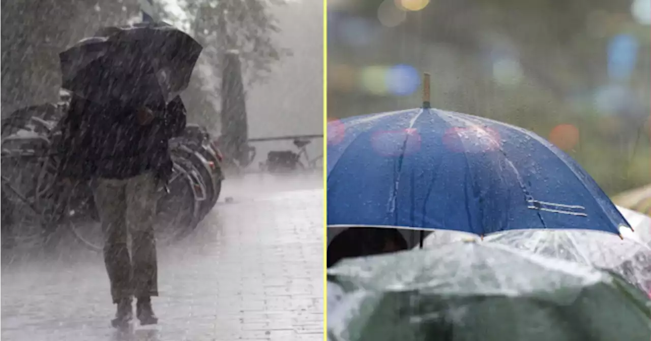 Ireland has become 'warmer and wetter' over the last 30 years | Her.ie