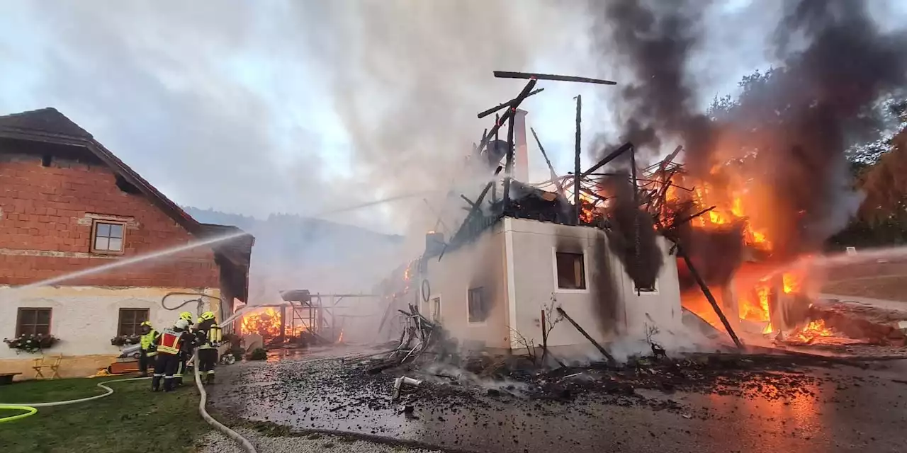 Großer Bauernhofbrand in NÖ – Kühe und Schafe tot