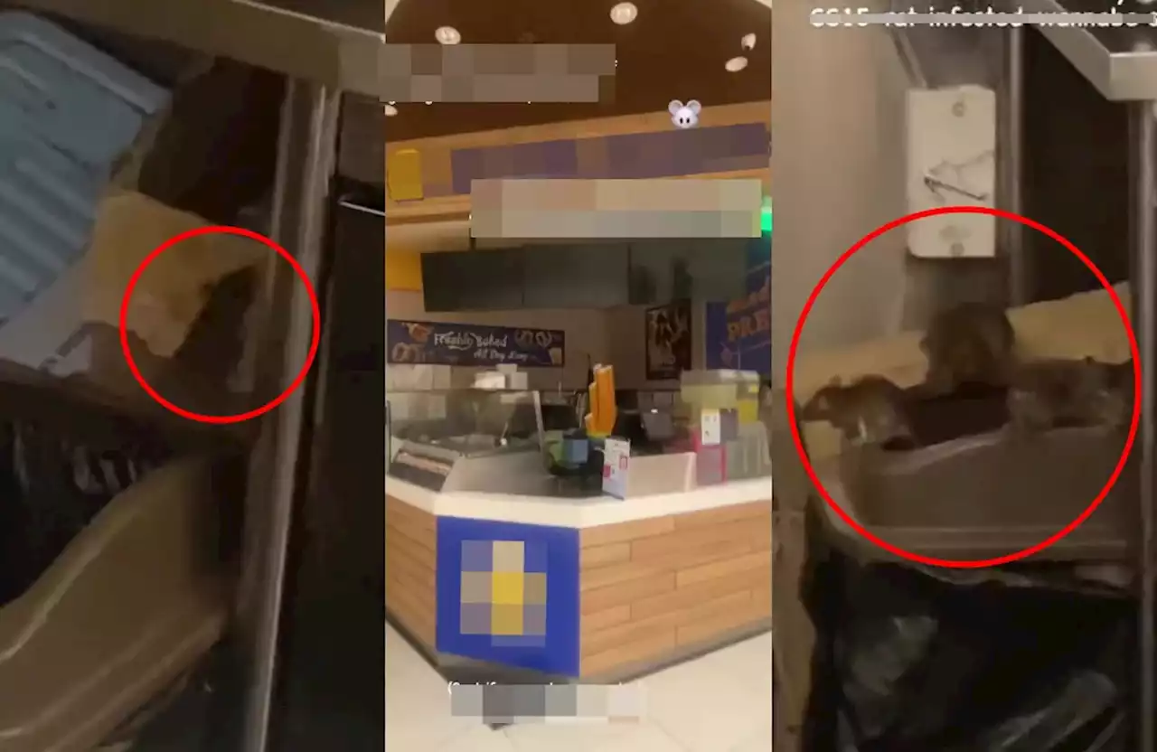 Netizens Disgusted By Rats Infestation At Local Auntie Anne's Store