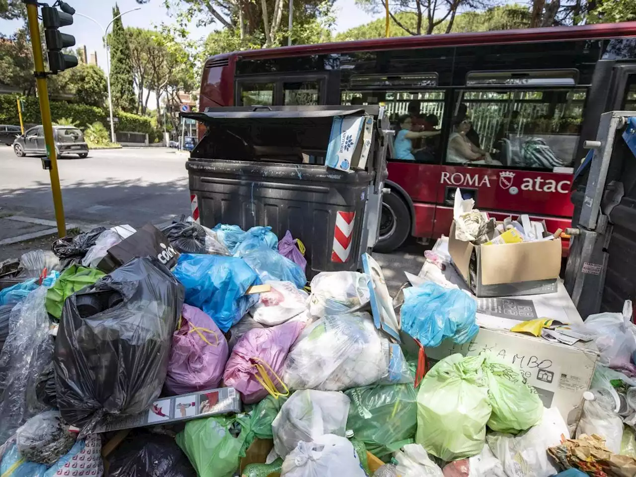 'Topi, gabbiani e miasmi'. Scatta l'emergenza igiene a Roma