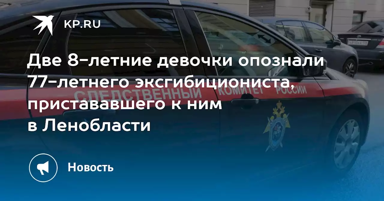 Две 8-летние девочки опознали 77-летнего эксгибициониста, пристававшего к ним в Ленобласти