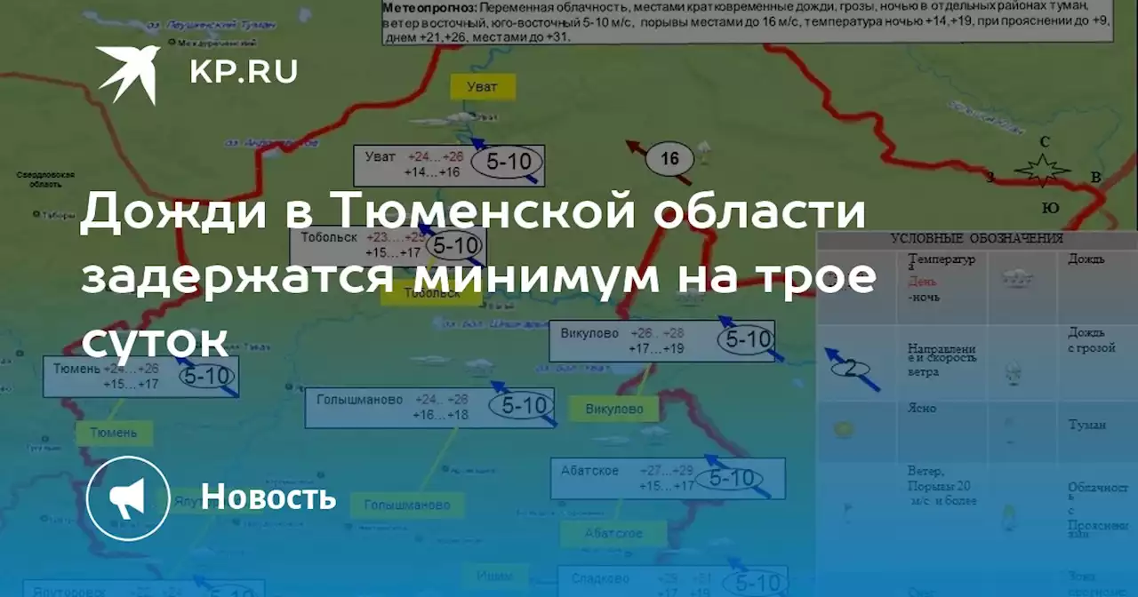 Дожди в Тюменской области задержатся минимум на трое суток