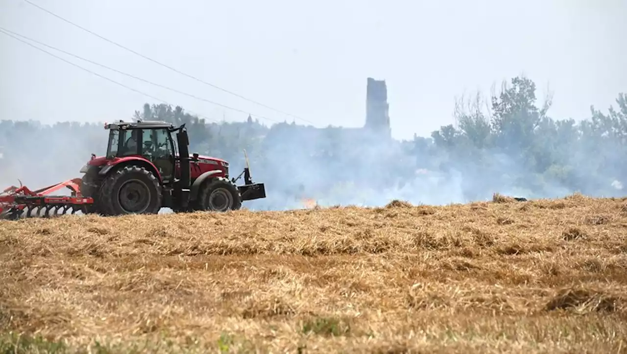 Cinq hectares brûlés dans un champ à Albi, les habitations préservées par les pompiers