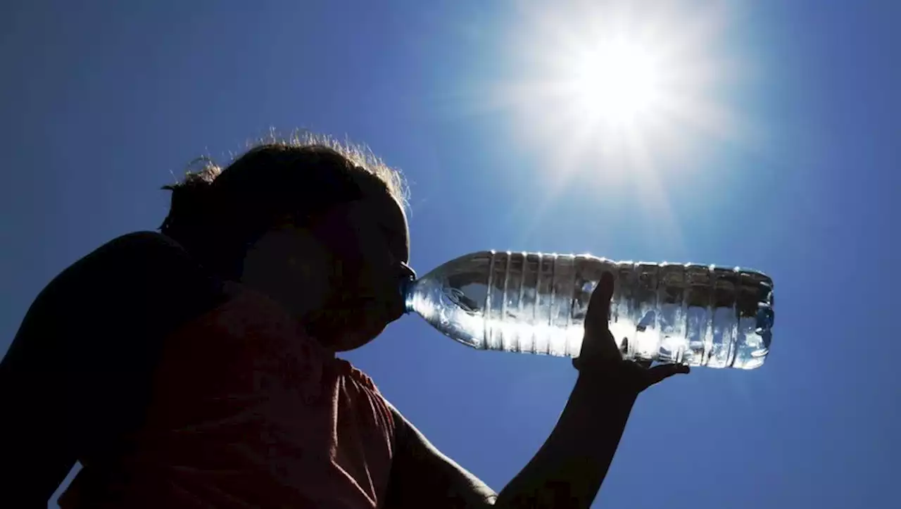 DIRECT. Canicule : 40°C en Corse à midi, records battus en Ariège et dans les Pyrénées-Orientales