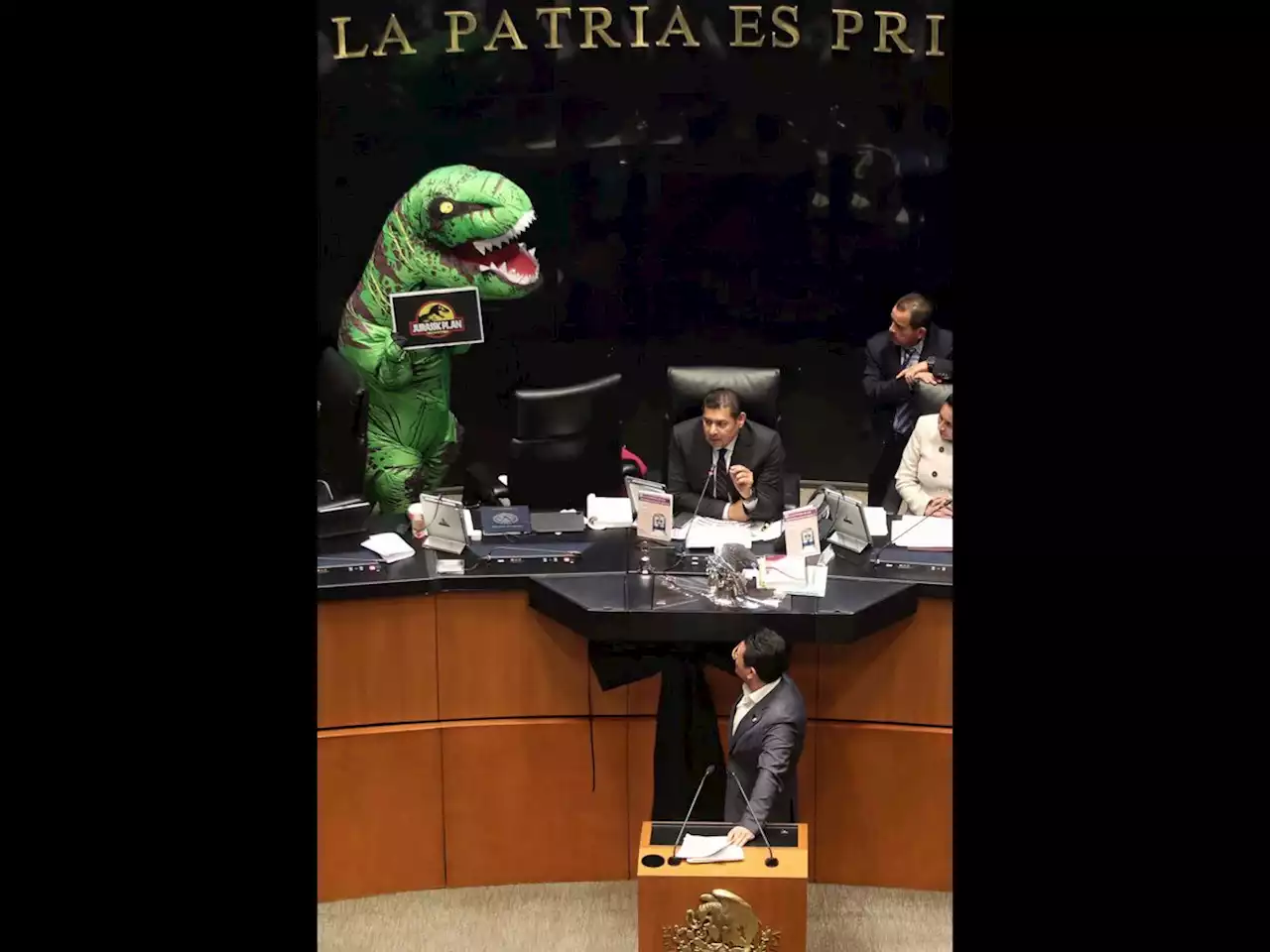 La Jornada: En el Senado, Xóchitl Gálvez “sólo busca el show”: morenistas