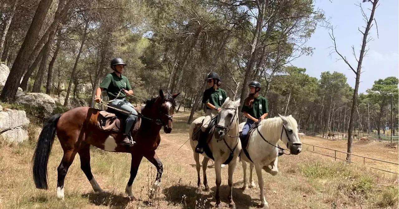 Feux de forêt : à Istres, ces cavalières ange-gardiens de nos massifs forestiers