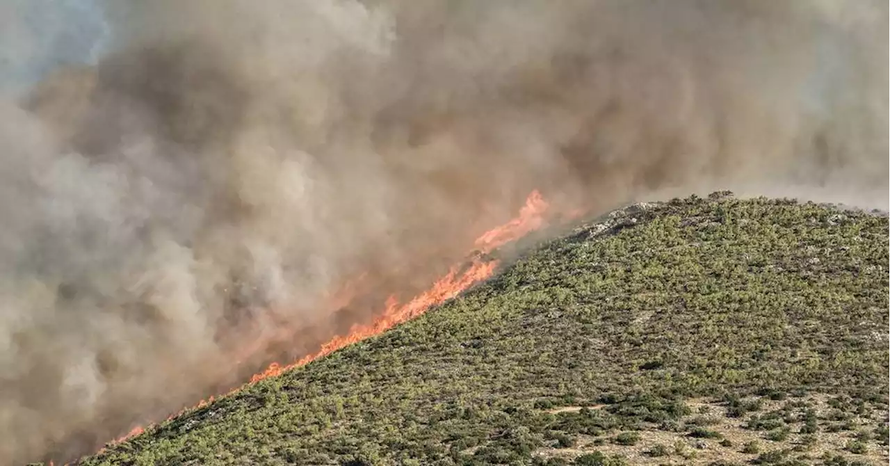 Incendies en Grèce : les pompiers poursuivent leur lutte contre les flammes, des zones balnéaires évacuées