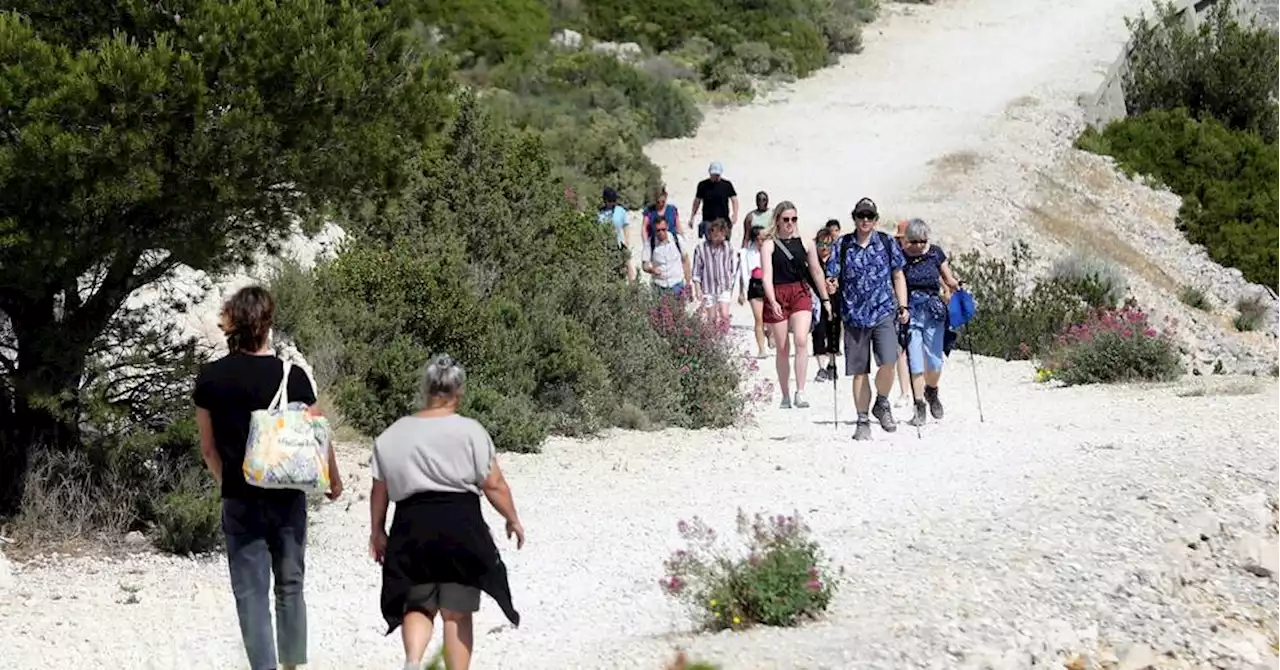 Parc national des calanques : face aux chasseurs, la protection des oiseaux ne fait pas le poids