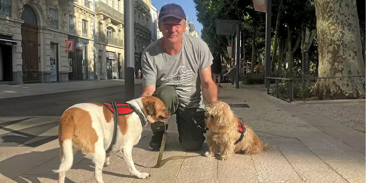 Fichage génétique des chiens : l’arrêté qui divise Béziers