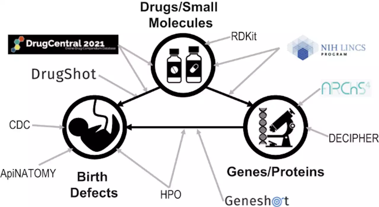 Toxicology knowledge graph for structural birth defects - Communications Medicine