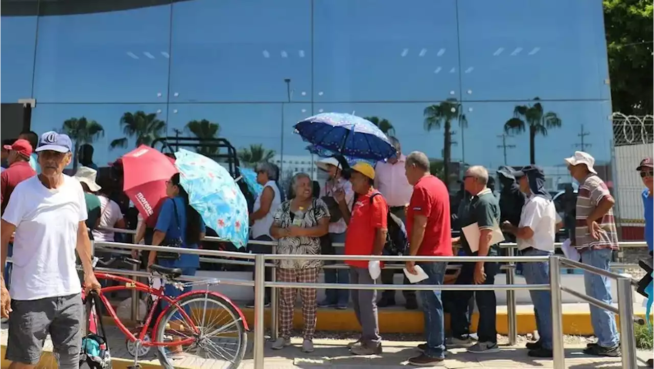 Parálisis en pleno del INAI frena trámites de pensiones: comisionada